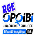 RGE OPQIBI