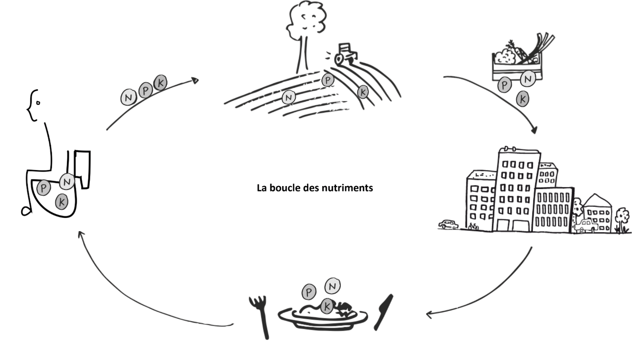 Circularite